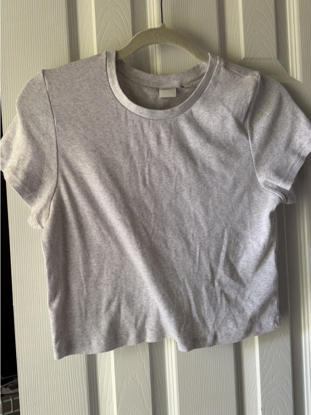 Aritzia Light Gray Ribbed Crop Tee